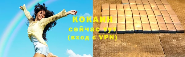 гашик Дмитров