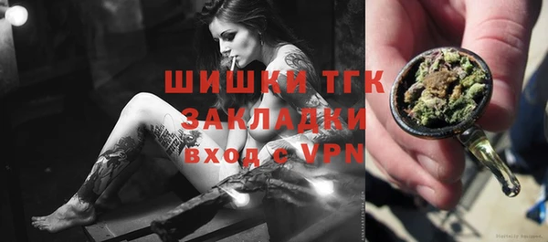гашик Дмитров