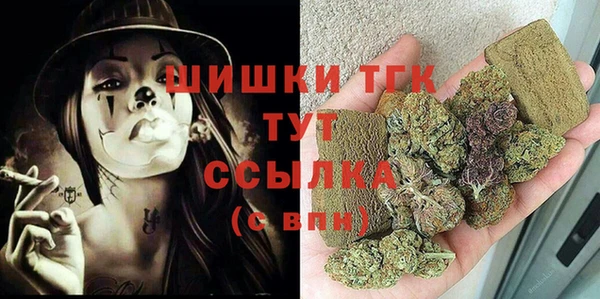 гашик Дмитров