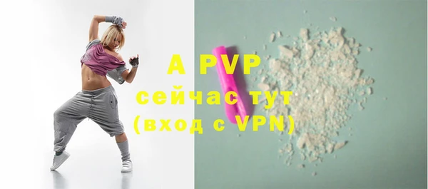 гашик Дмитров