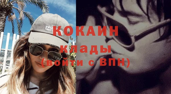 гашик Дмитров