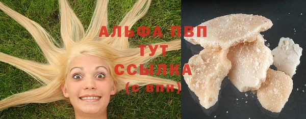 гашик Дмитров