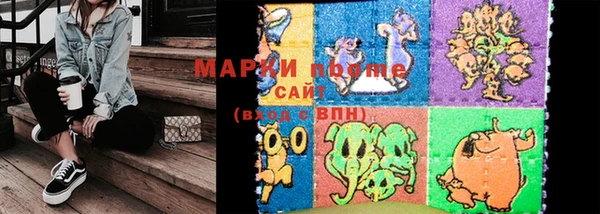 гашик Дмитров