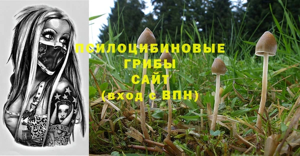 гашик Дмитров
