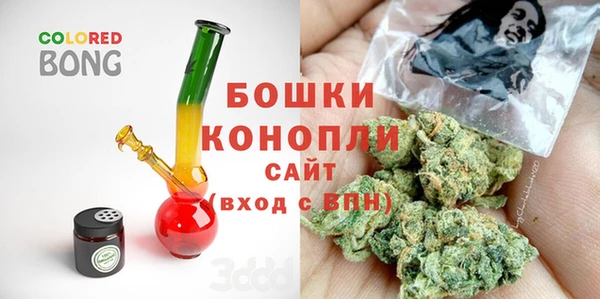 гашик Дмитров