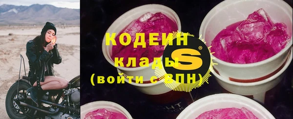гашик Дмитров