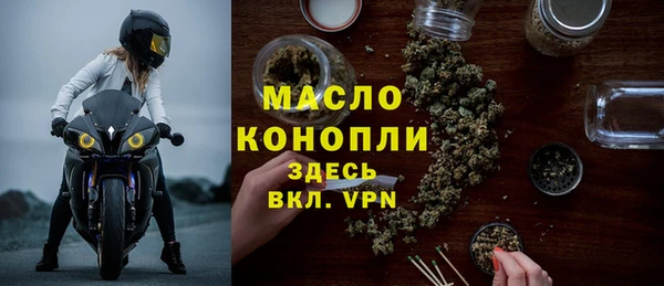 гашик Дмитров