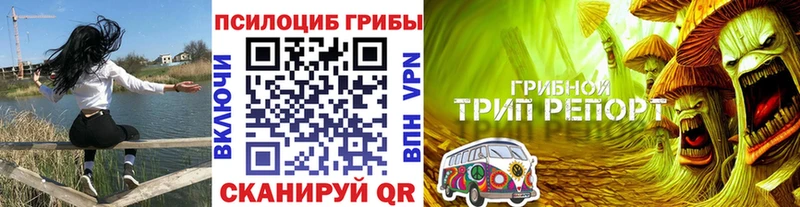 Псилоцибиновые грибы Magic Shrooms купить наркотики сайты Дятьково